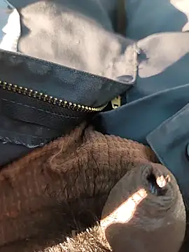 Nishu12356g online show from September 2025 02:40:02 PM