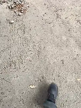 rajstrip12650 online show from March 2025 09:56:01 AM