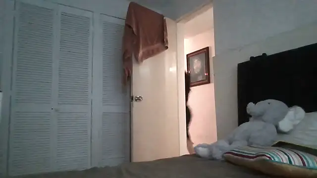 panquesitorico online show from April 2026 12:49:02 AM