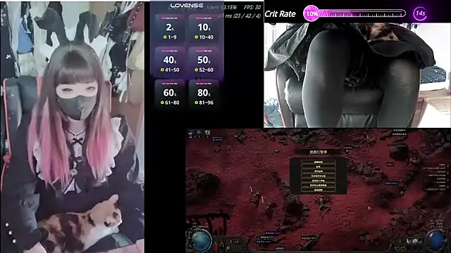 z23002 online show from January 2025 08:45:01 AM