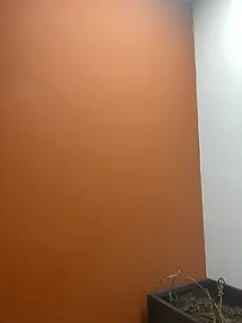 Snapshot of YesTheSexiest chatting on November 2025 09:20:01 AM YesTheSexiest online show from November 2025 09:20:01 AM