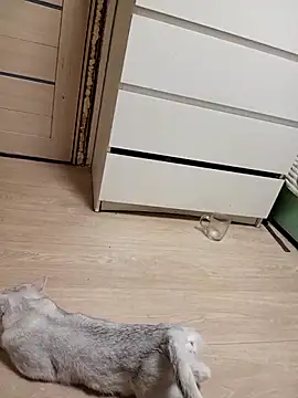 Linda Gregory online show from February 2026 11:33:01 PM