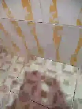 Snapshot of Sanjaymartin29 chatting on January 2025 03:08:02 AM Sanjaymartin29 online show from January 2025 03:08:02 AM