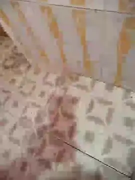 Snapshot of Sanjaymartin29 chatting on January 2025 04:30:01 AM Sanjaymartin29 online show from January 2025 04:30:01 AM