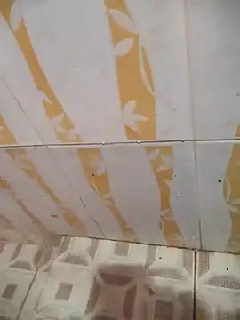 Snapshot of Sanjaymartin29 chatting on February 2025 03:37:02 AM Sanjaymartin29 online show from February 2025 03:37:02 AM