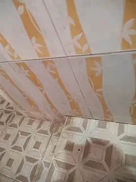 Snapshot of Sanjaymartin29 chatting on March 2025 02:50:01 AM Sanjaymartin29 online show from March 2025 02:50:01 AM