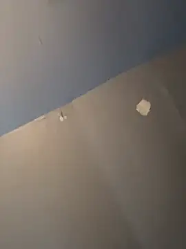 Snapshot of DominiqueX0 chatting on March 2026 04:17:01 AM DominiqueX0 online show from March 2026 04:17:01 AM