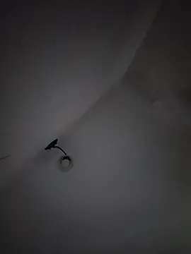 Snapshot of LissaThompsom chatting on March 2026 11:38:02 AM LissaThompsom online show from March 2026 11:38:02 AM