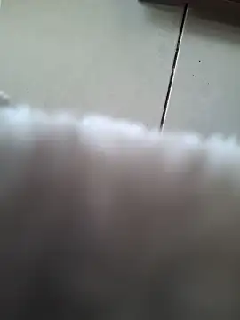 Snapshot of biboii chatting on February 2025 03:00:01 PM biboii online show from February 2025 03:00:01 PM