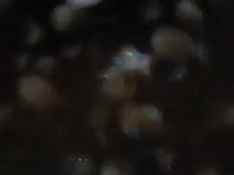 Snapshot of arabictsmariam chatting on February 2025 06:08:02 AM arabictsmariam online show from February 2025 06:08:02 AM