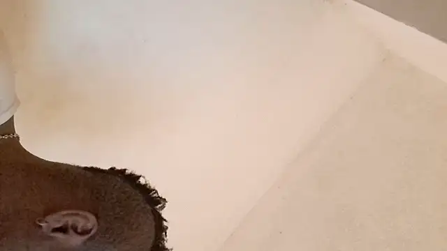 Snapshot of royblackbigpvt chatting on March 2026 06:03:02 PM royblackbigpvt online show from March 2026 06:03:02 PM