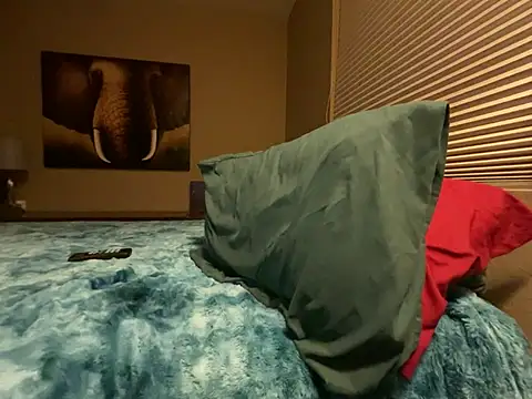 Snapshot of Bwcjoshbanks chatting on January 2025 05:30:01 AM Bwcjoshbanks online show from January 2025 05:30:01 AM