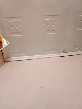 pretty-donna online show from October 2025 04:57:02 AM