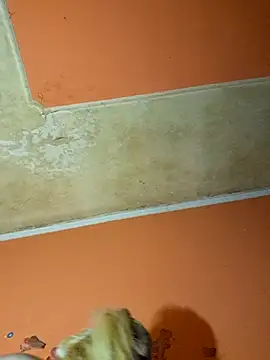 Snapshot of ducicsajsziii chatting on December 2024 11:03:01 PM ducicsajsziii online show from December 2024 11:03:01 PM