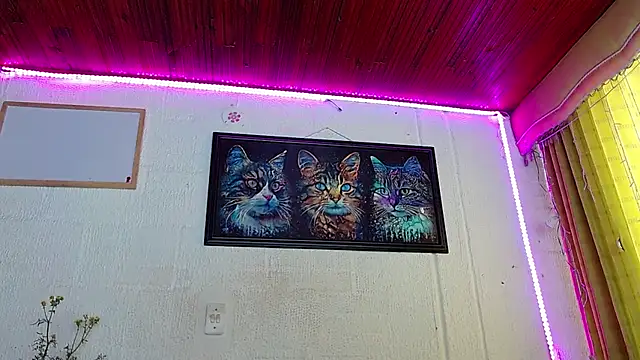 Snapshot of Niky_777 chatting on February 2025 04:25:01 PM Niky 777 online show from February 2025 04:25:01 PM