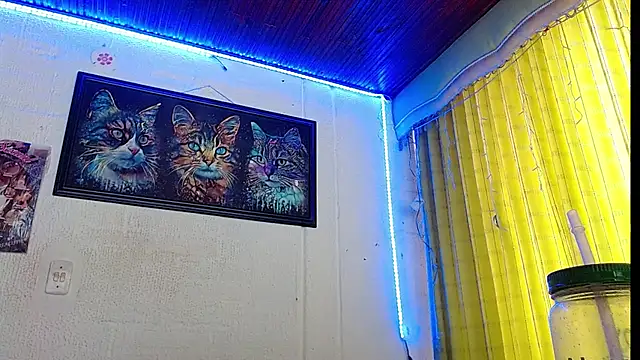 Snapshot of Niky_777 chatting on February 2025 07:38:02 PM Niky 777 online show from February 2025 07:38:02 PM