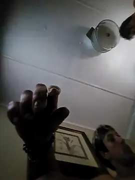 j hollywood91 online show from November 2025 03:16:01 PM