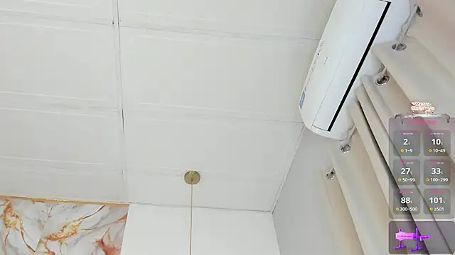 Snapshot of linaa_1 chatting on January 2025 09:04:02 AM linaa 1 online show from January 2025 09:04:02 AM