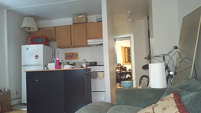 SiminFox online show from October 2025 07:48:02 PM