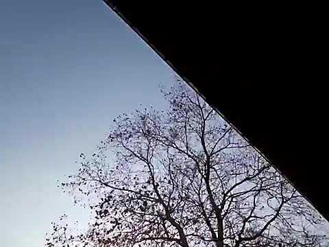 Snapshot of Mia_Railey chatting on March 2025 03:49:02 PM Mia Railey online show from March 2025 03:49:02 PM