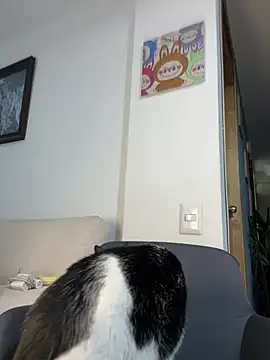 Snapshot of ananya_sex1 chatting on March 2026 05:57:02 AM ananya sex1 online show from March 2026 05:57:02 AM