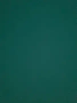 Snapshot of Ruby_bear chatting on March 2025 08:55:01 AM Ruby bear online show from March 2025 08:55:01 AM