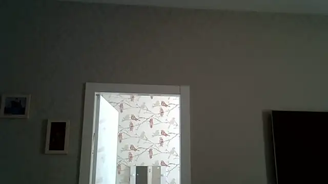 ZarinaSwift online show from June 2026 09:45:01 AM