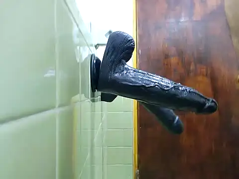 Snapshot of Ricorry@xh chatting on February 2025 04:58:01 AM Ricorryxh online show from February 2025 04:58:01 AM