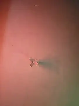 Snapshot of Ricorry@xh chatting on September 2025 05:07:02 AM Ricorryxh online show from September 2025 05:07:02 AM