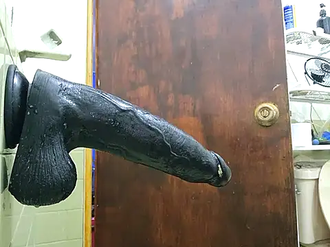 Snapshot of Ricorry@xh chatting on September 2025 04:14:01 AM Ricorryxh online show from September 2025 04:14:01 AM