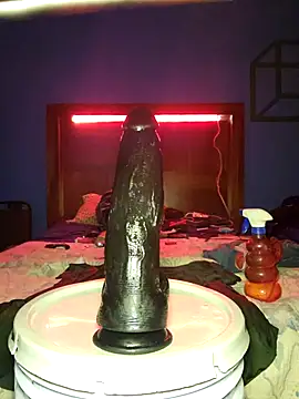 Snapshot of Ricorry@xh chatting on September 2025 05:55:02 AM Ricorryxh online show from September 2025 05:55:02 AM