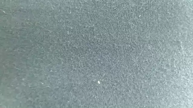 Indian tracy online show from October 2025 09:57:01 AM