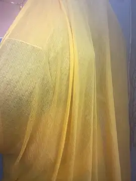 Snapshot of kannadatelugugirl chatting on December 2024 02:17:02 PM kannadatelugugirl online show from December 2024 02:17:02 PM