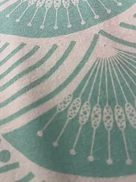 Snapshot of kannadatelugugirl chatting on January 2025 03:13:01 AM kannadatelugugirl online show from January 2025 03:13:01 AM