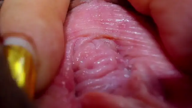 tatiana big ass boobs online show from February 2025 12:38:02 AM