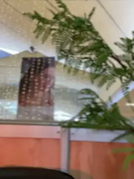 Snapshot of Emilia_Bakerr chatting on December 2024 09:31:02 PM Emilia Bakerr online show from December 2024 09:31:02 PM