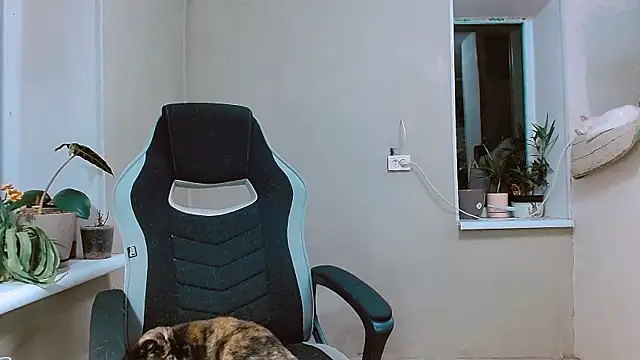 RosaJil online show from November 2025 03:58:02 PM