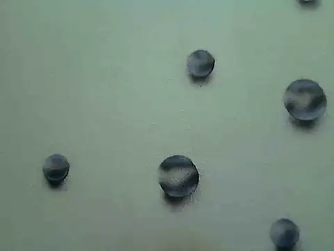 Snapshot of Jillian_Pattie chatting on January 2025 04:59:01 PM Jillian Pattie online show from January 2025 04:59:01 PM