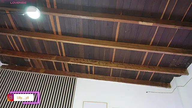 LillyDolls23 online show from February 2026 01:05:02 PM