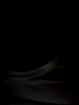 Snapshot of Mr_Perfect_Man chatting on January 2025 11:09:01 PM Mr Perfect Man online show from January 2025 11:09:01 PM