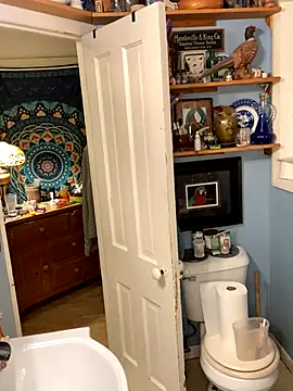 Snapshot of sexyasscougar chatting on October 2025 07:39:01 AM sexyasscougar online show from October 2025 07:39:01 AM