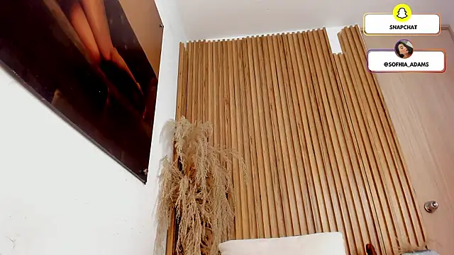 Snapshot of sofhiaa_adaams chatting on March 2026 03:54:01 AM sofhiaa adaams online show from March 2026 03:54:01 AM