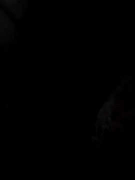 Snapshot of mia69x chatting on December 2025 02:37:02 PM mia69x online show from December 2025 02:37:02 PM