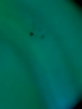 Snapshot of sm4lld1ck chatting on October 2025 11:39:01 PM sm4lld1ck online show from October 2025 11:39:01 PM