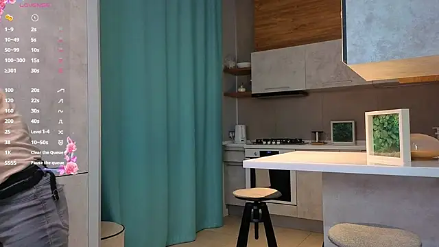 Snapshot of DonnaBurkee chatting on December 2025 04:11:02 AM DonnaBurkee online show from December 2025 04:11:02 AM