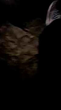 playtyme420691 online show from December 2024 05:15:01 AM