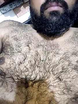 ROCKY15272a online show from December 2025 04:02:02 PM