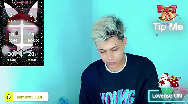 Snapshot of Liamscott_ chatting on December 2024 03:29:02 AM Liamscott online show from December 2024 03:29:02 AM