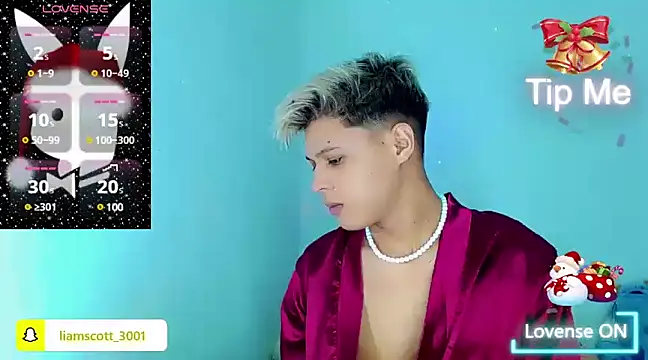 Snapshot of Liamscott_ chatting on December 2024 10:50:01 PM Liamscott online show from December 2024 10:50:01 PM
