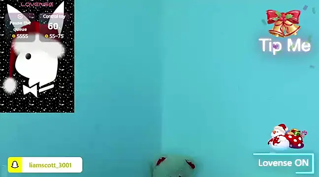 Snapshot of Liamscott_ chatting on December 2024 02:39:01 AM Liamscott online show from December 2024 02:39:01 AM